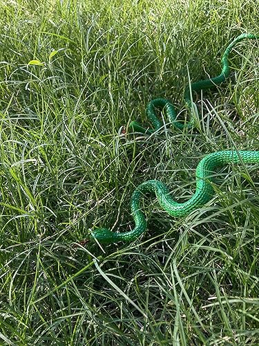 Miniatura 3 de HOHAJIU Juguete de serpiente falsa de goma, realista, 10 piezas, juguete de serpiente realista, regalo de broma para Halloween, fiesta del día de