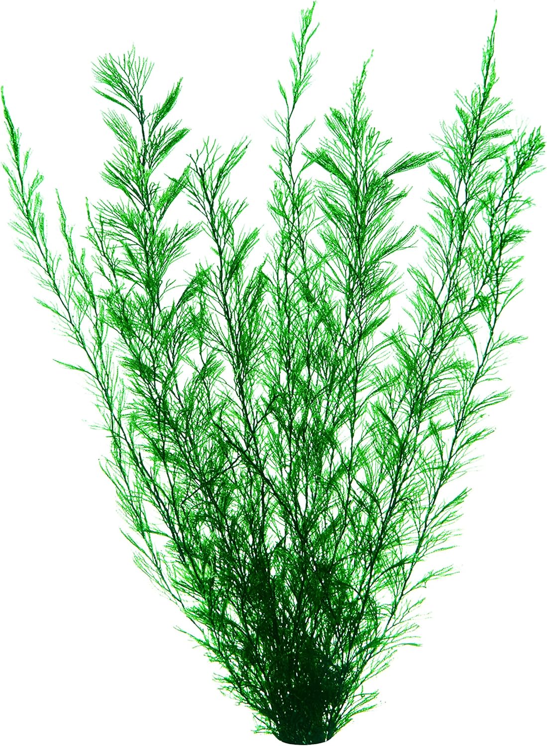 Amazon Co Jp ジェックス 金魚水景 天然おつまみ草 ペット用品