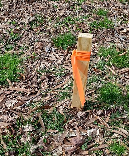 Miniatura 3 de Brady 58352, Cinta para señalización, Naranja Fluorescente (1por pedido)