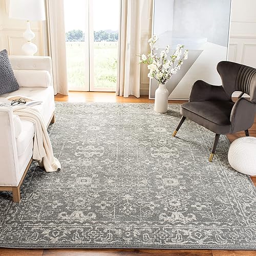 SAFAVIEH Evoke Collection EVK270S Shabby Chic Distressed Non-Shedding Living Room Bedroom Accent Area Rug, 3' x 5', Grey / Ivory