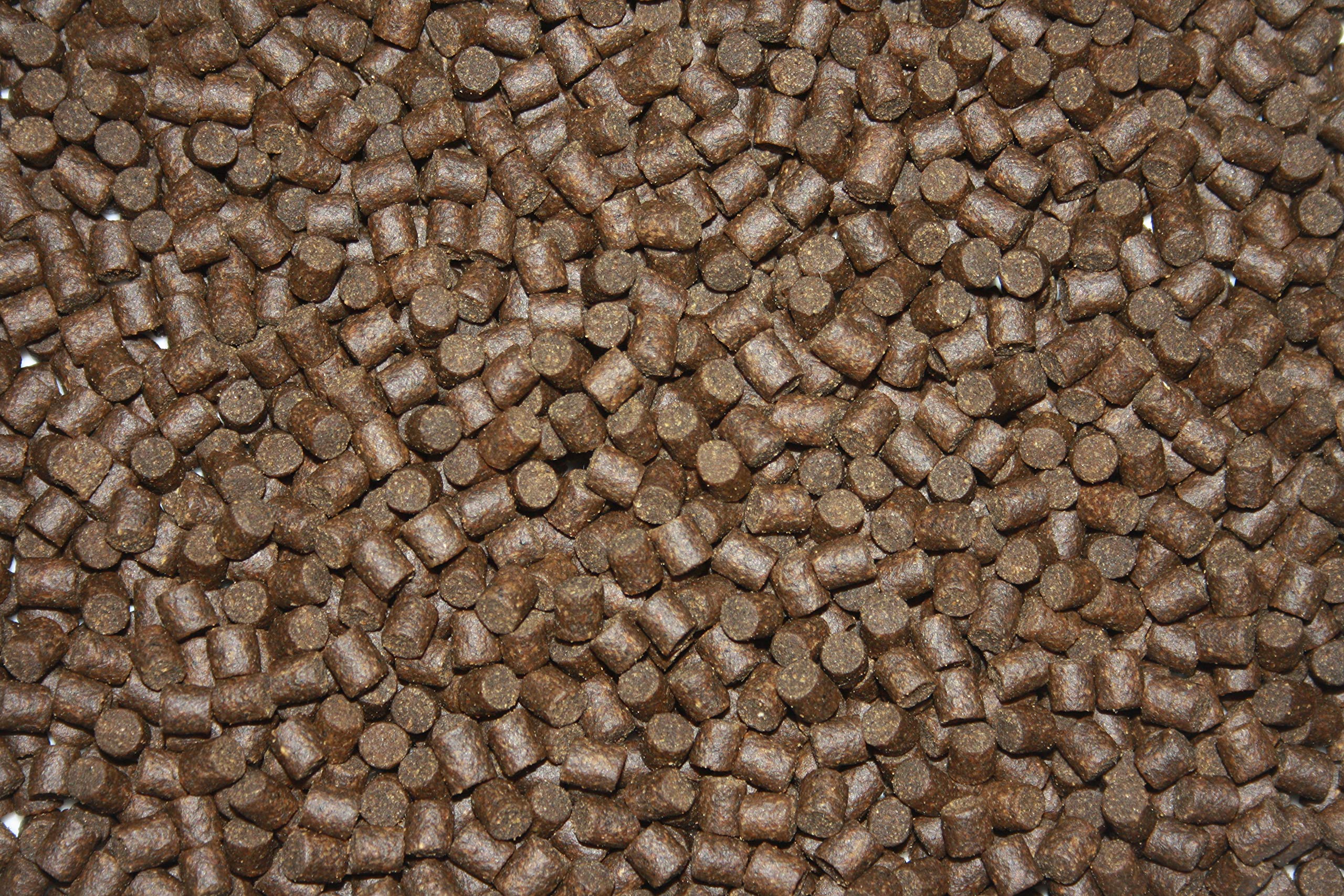 Koifutter Sinkfutter Koi Winterfutter sinkende Pellets kräfteschonend Energiefutter für Fische mit arktischem Fischmehl Fischöl hochverdaulich 5mm 15kg