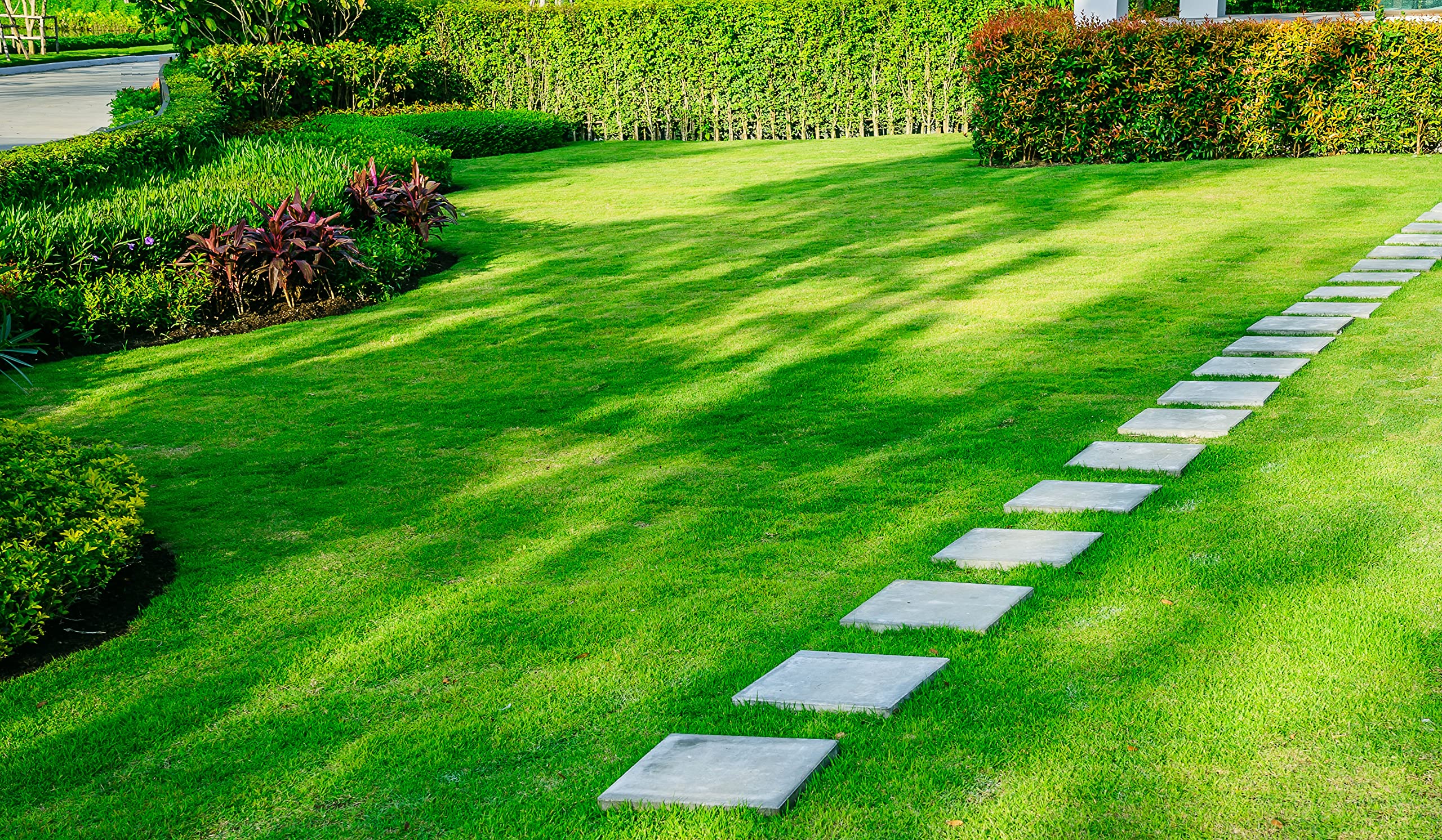 GLAESER - easygreen Halbschattenrasen | Sattes Grün mit dichtem Wuchs | Begrünungsmatte mit Langzeit-Düngeeffekt (30,00 x 1,20 m)