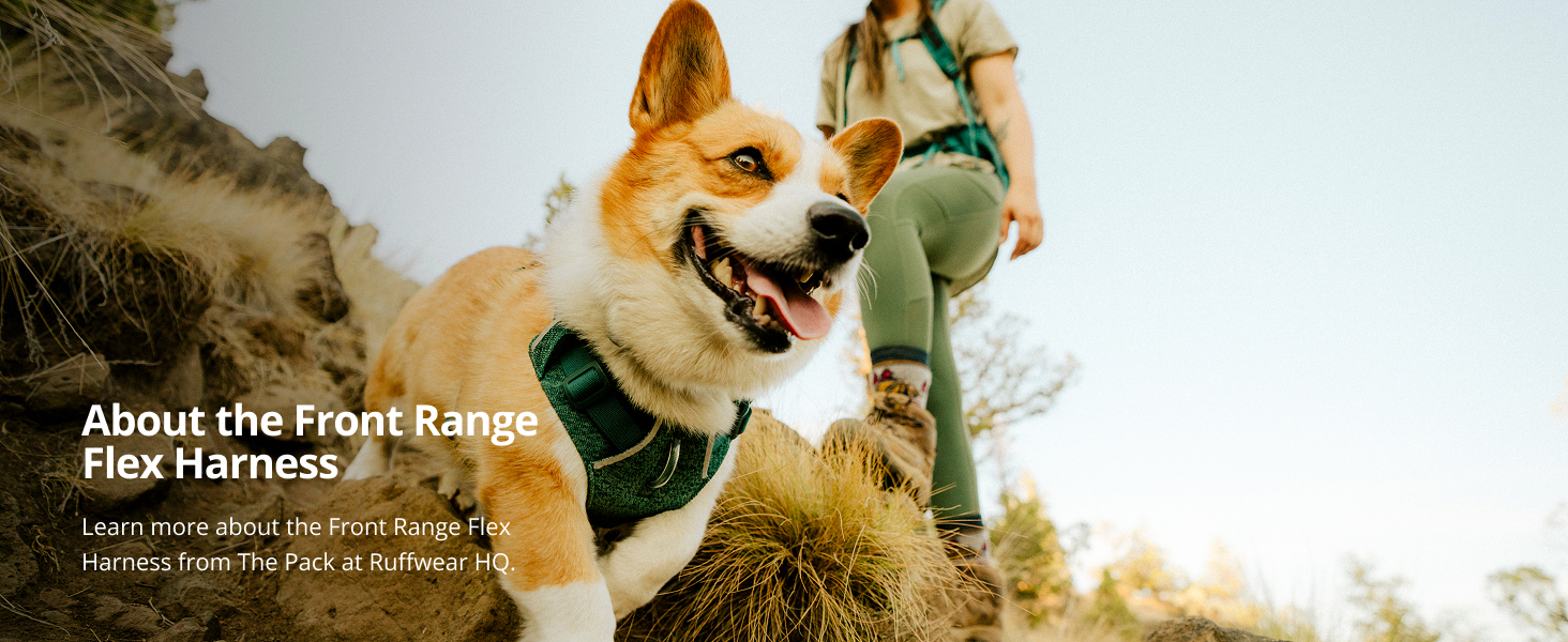 Amazon.com : Ruffwear, Front Range Flex Dog Harness, Engineered