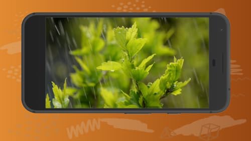 Quiet Nature Rainforest Sleep Music Harmony for Fire TV – vue 6