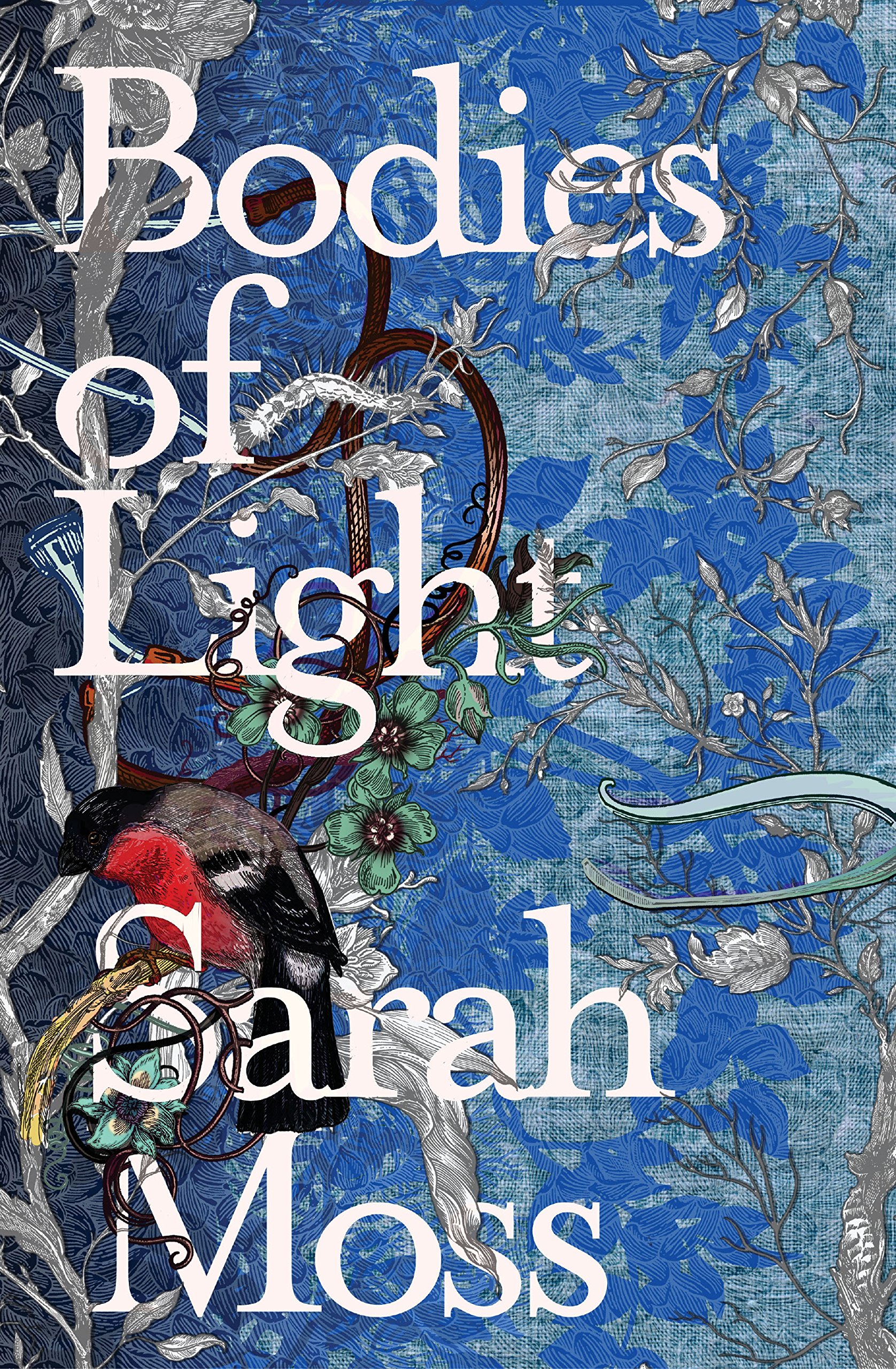 Buy Bodies of Light — BookShops.in