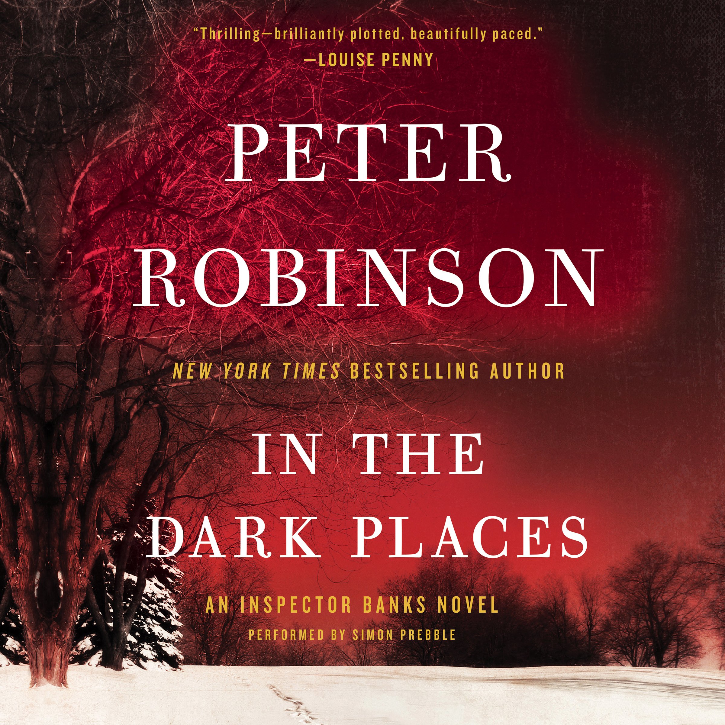 Cover art for In the Dark Places