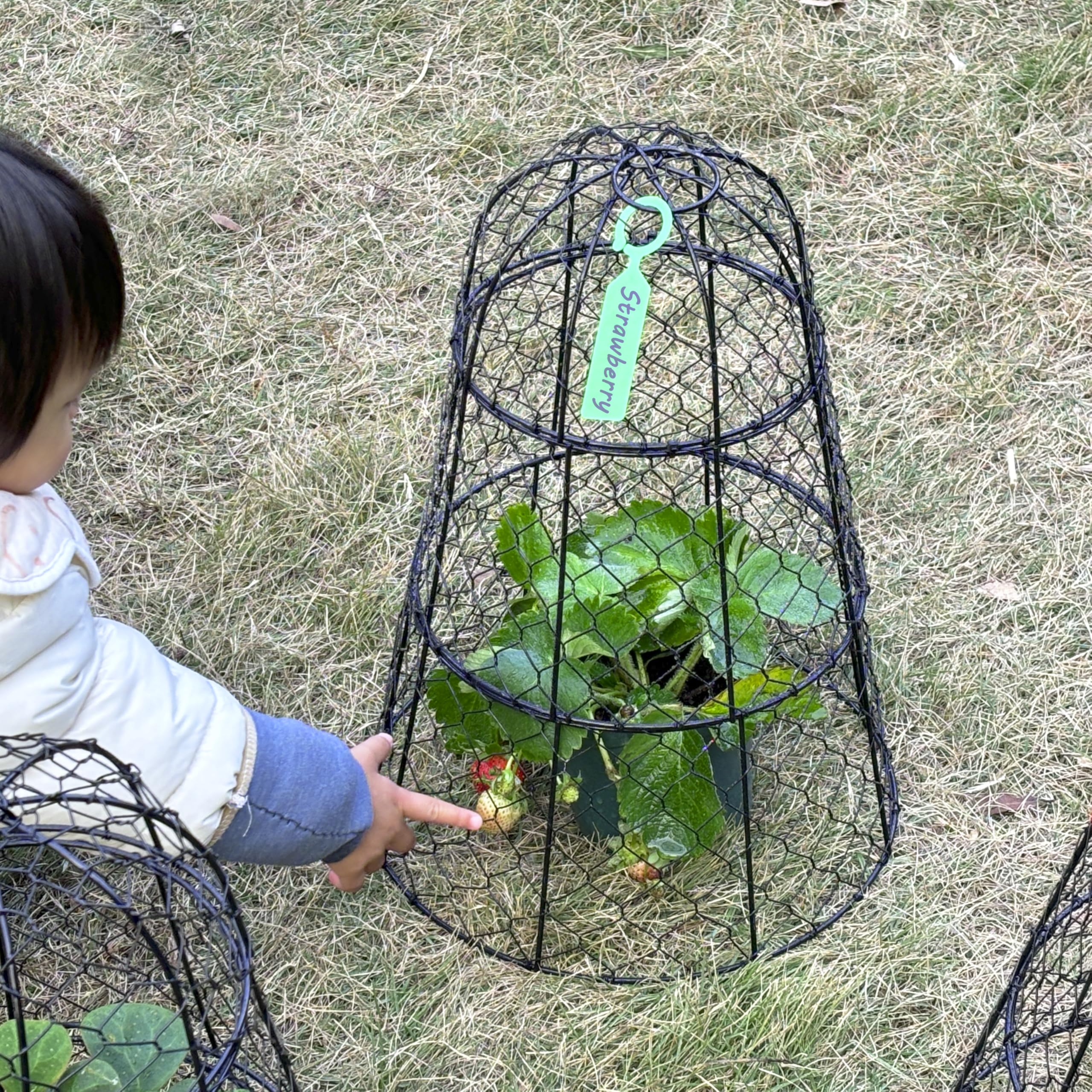3 protectores para plantas
