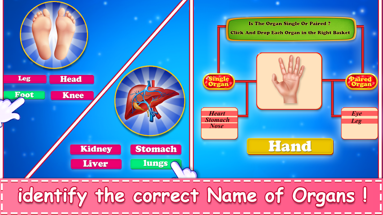 Human Body Parts For Kids - App on Amazon Appstore