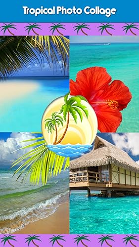 Colagem tropical da foto