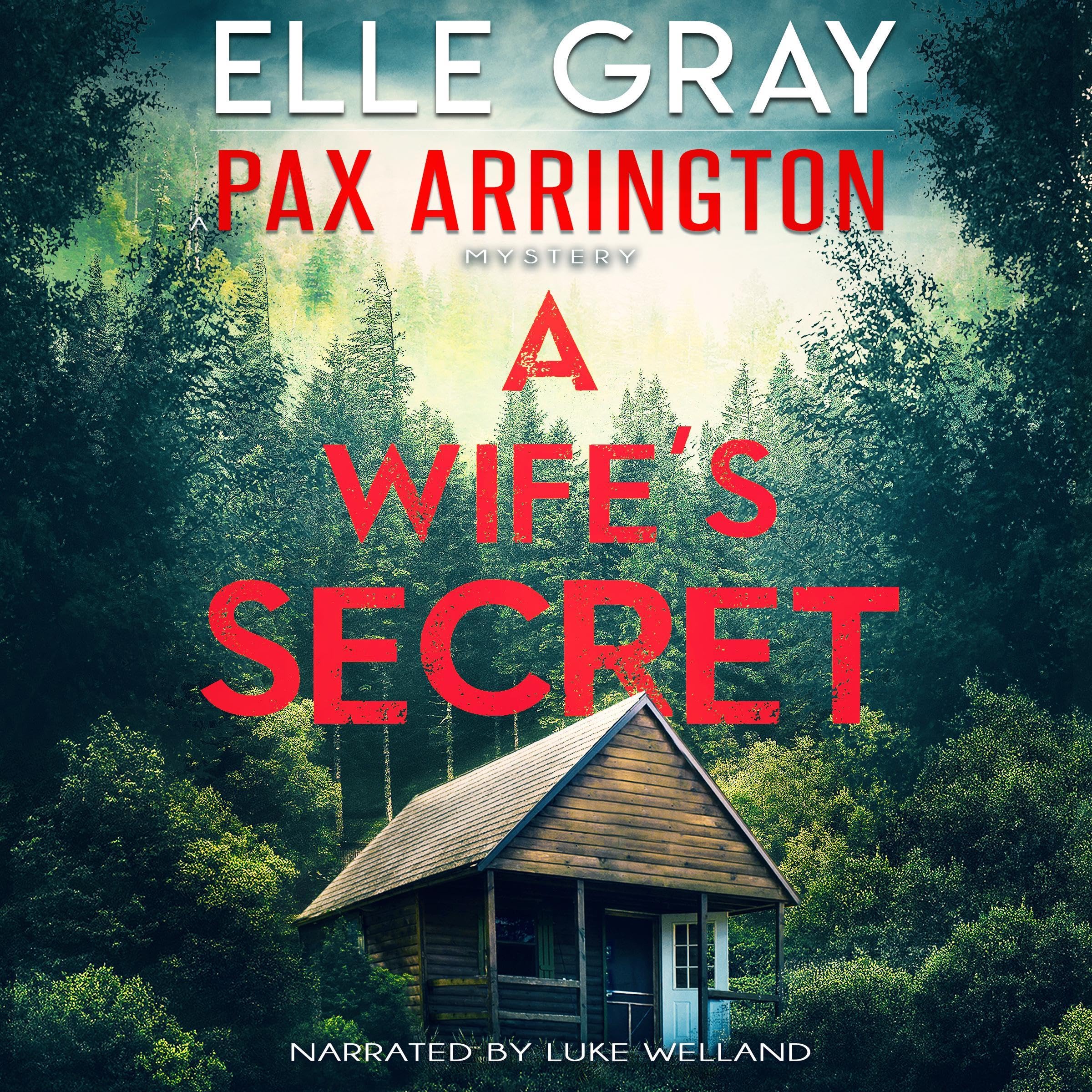Cover art for A Wife's Secret