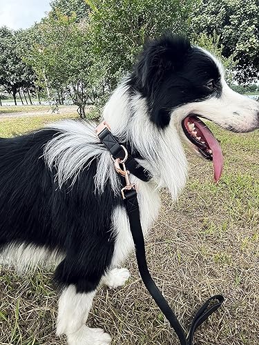 Miniatura 9 de Juego de collar y correa para perro. Cuero vegano suave y fácil de limpiar con hebilla de metal oro rosa para perros pequeños, medianos y grandes