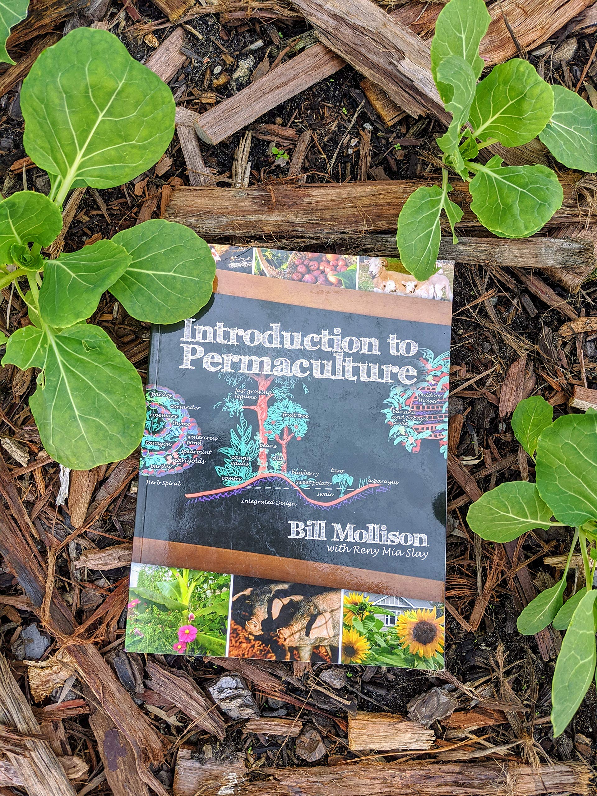 Tagari Publications Introduction to Permaculture