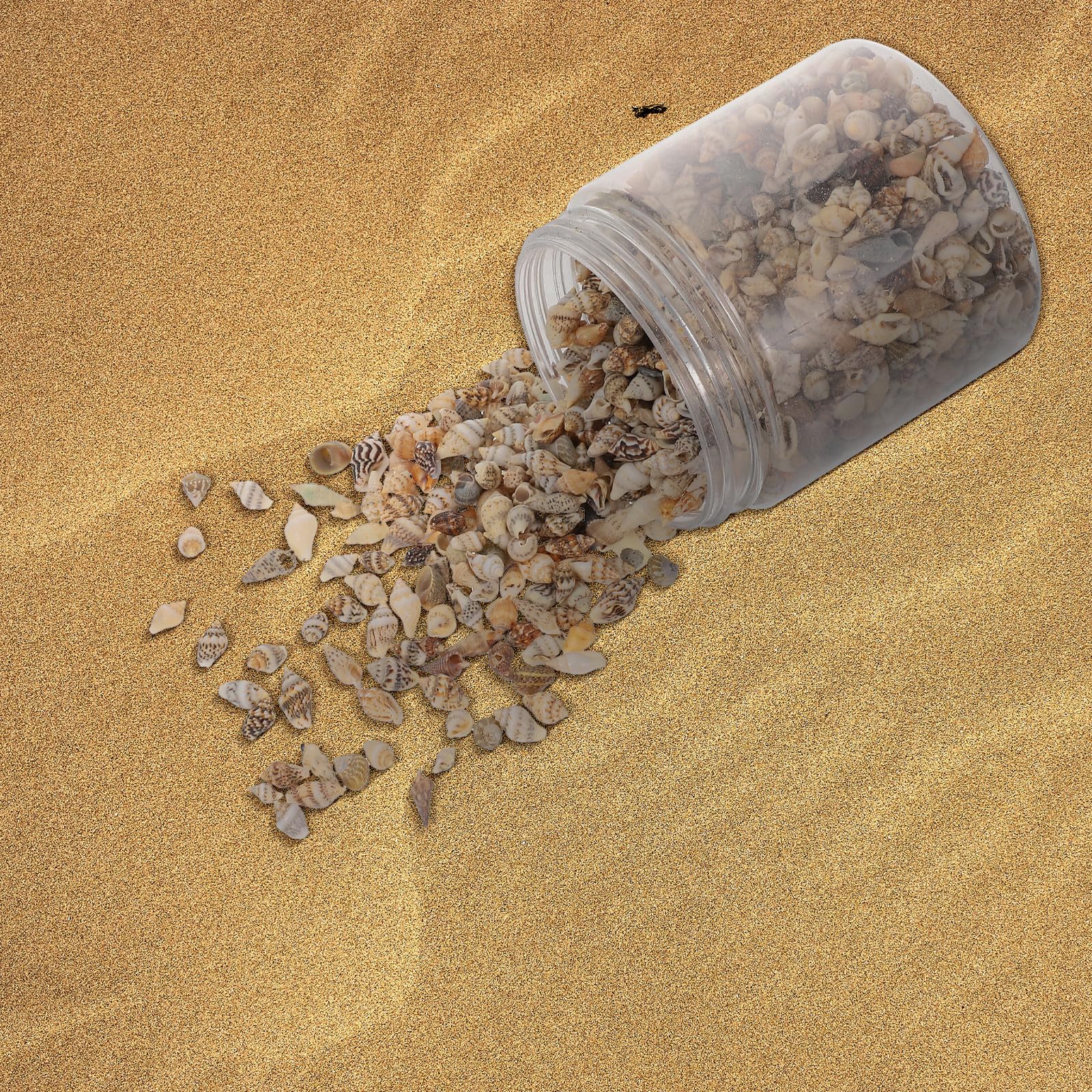 HOMSFOU Conchiglie Naturali Mini per Decorazioni Fai da Te, Riempitivo Artigianale per Vasi e Oggetti, Accessori Epossidici Resistenti alla Corrosione, Set da 2 Scatole per Ambienti