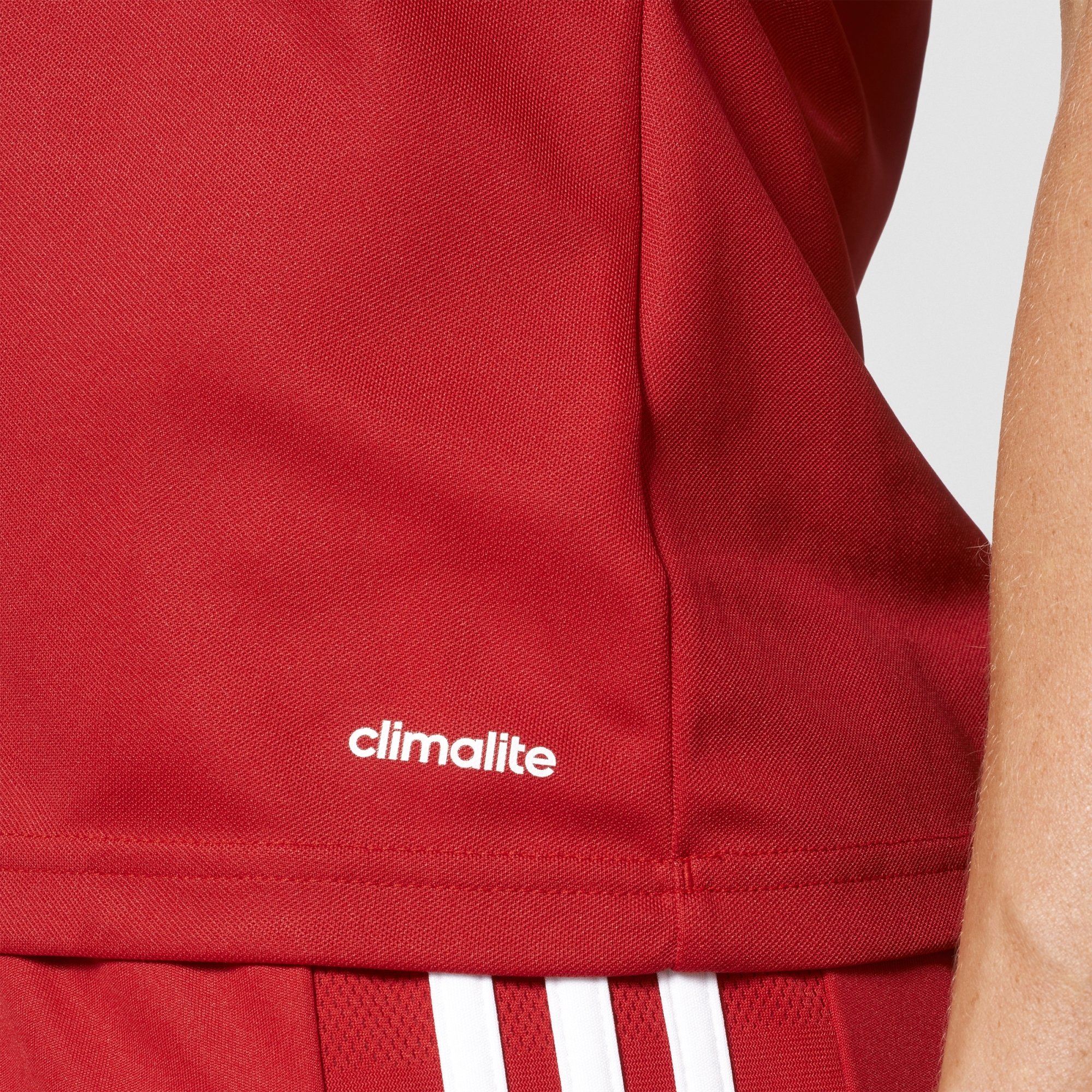 adidas Damen Squadra 17 Kurzarmtrikot