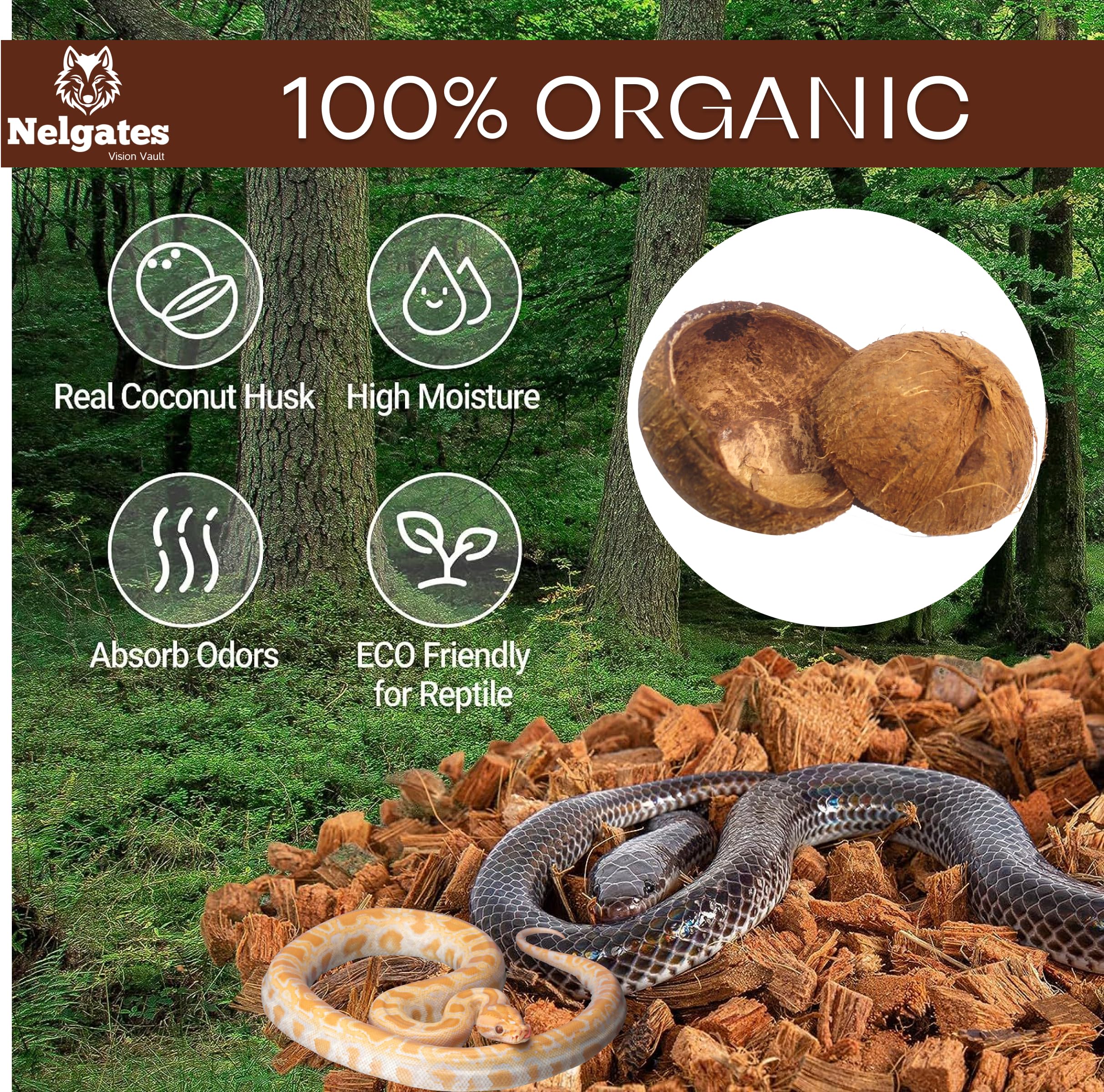Nelgates Reptile Coconut chip Bedding 650g Organic Coco Husk Block for Snake Habitat, Ball Python Terrarium,Tortoise Enclosure 1