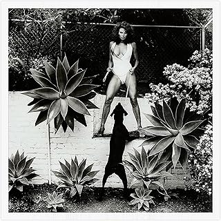 Peltier Thermoelectric Cooler (TEC1-12706,40x40mm)