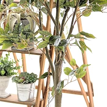 光触媒　人工観葉植物　フェイクグリーン　フィカスベンジャミナコアッド 楽天市場】No9277 プレミアム光触媒フェイクグリーン 「フィカス