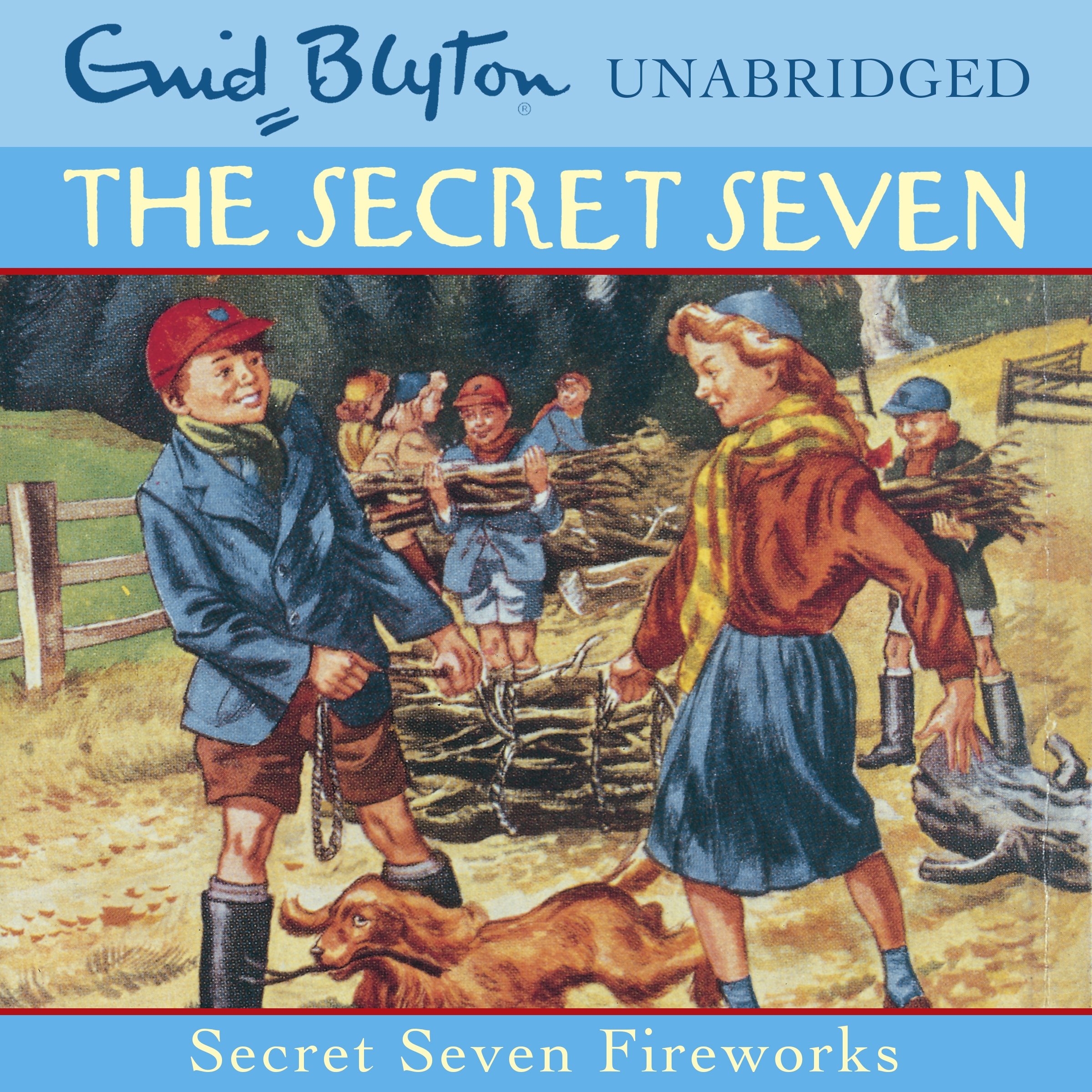 Cover art for Secret Seven: Fireworks
