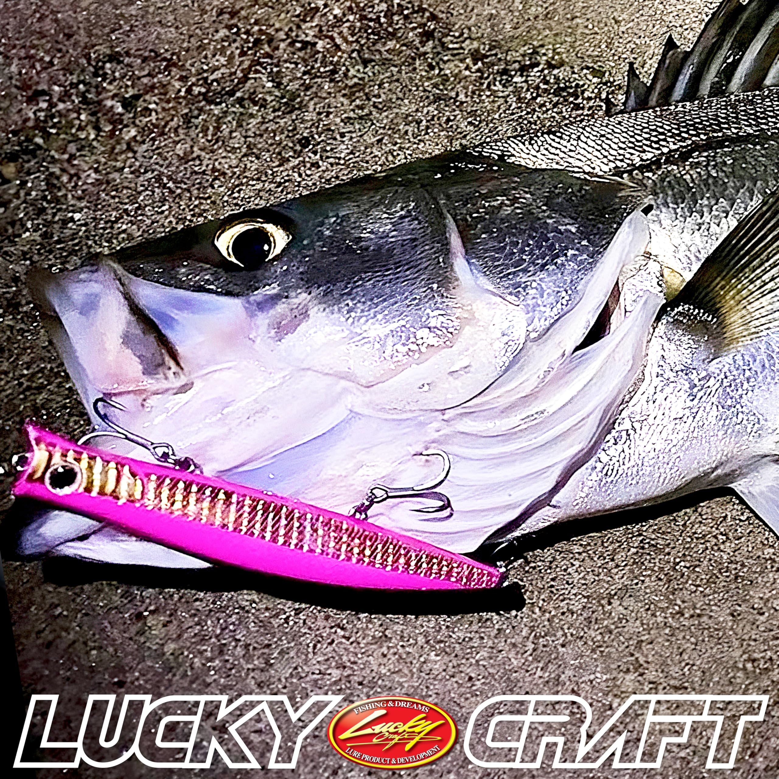 Amazon.co.jp: LUCKY CRAFT SW サーフェスワンダー 120 フィッシング