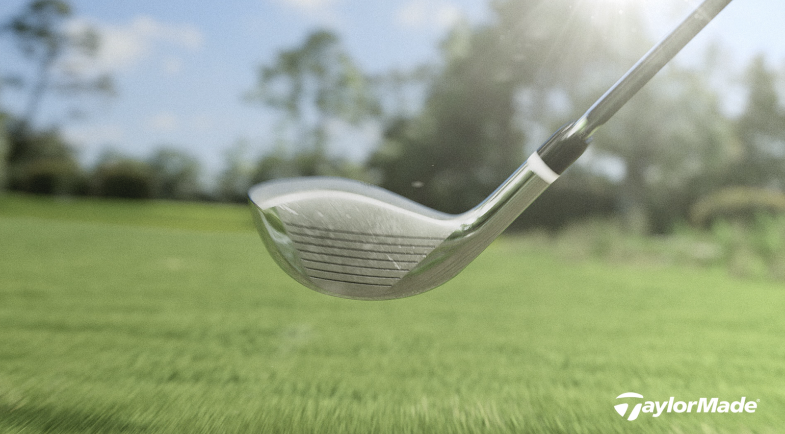 Amazon.com : TaylorMade MG3 Black SB : Sports & Outdoors