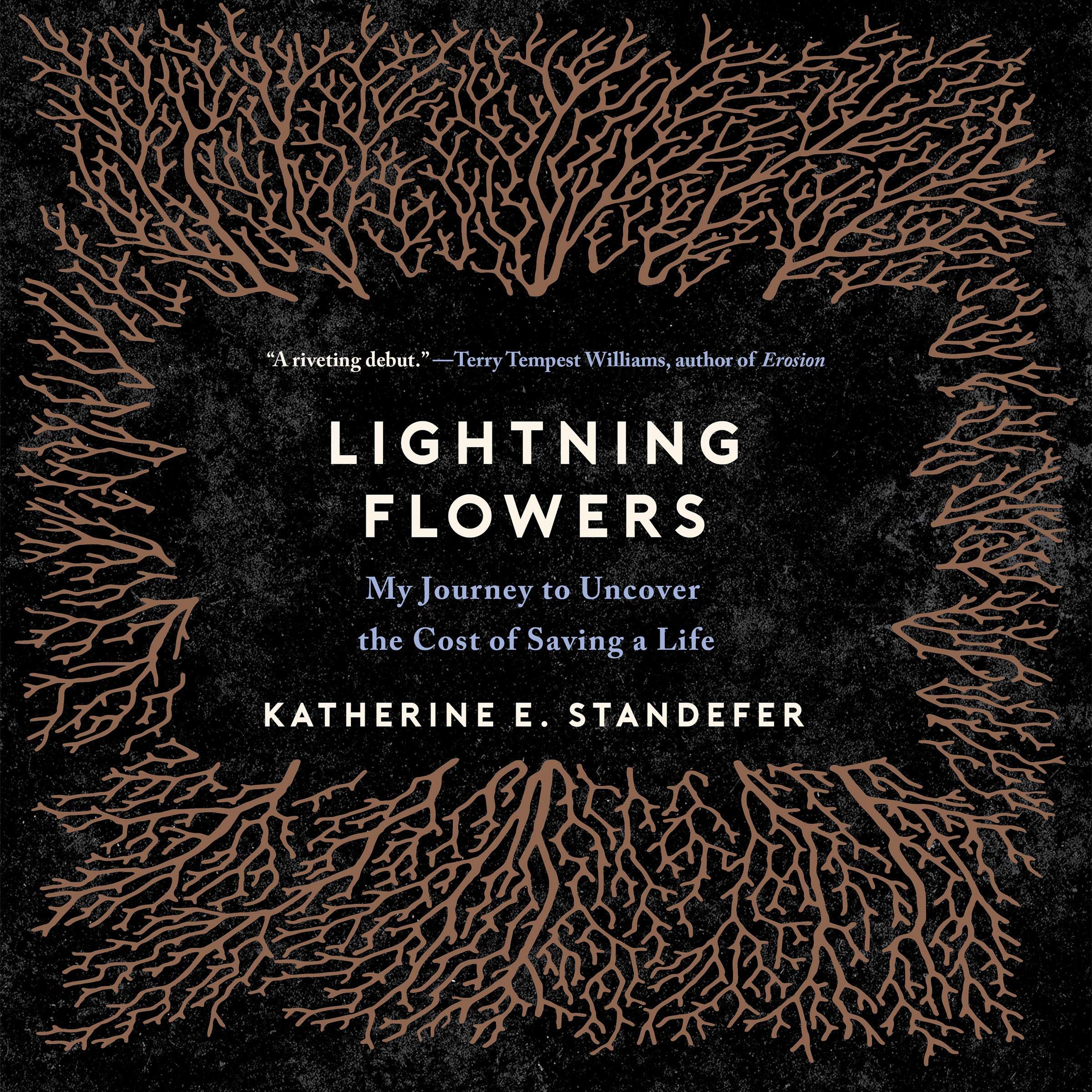 Cover art for Lightning Flowers