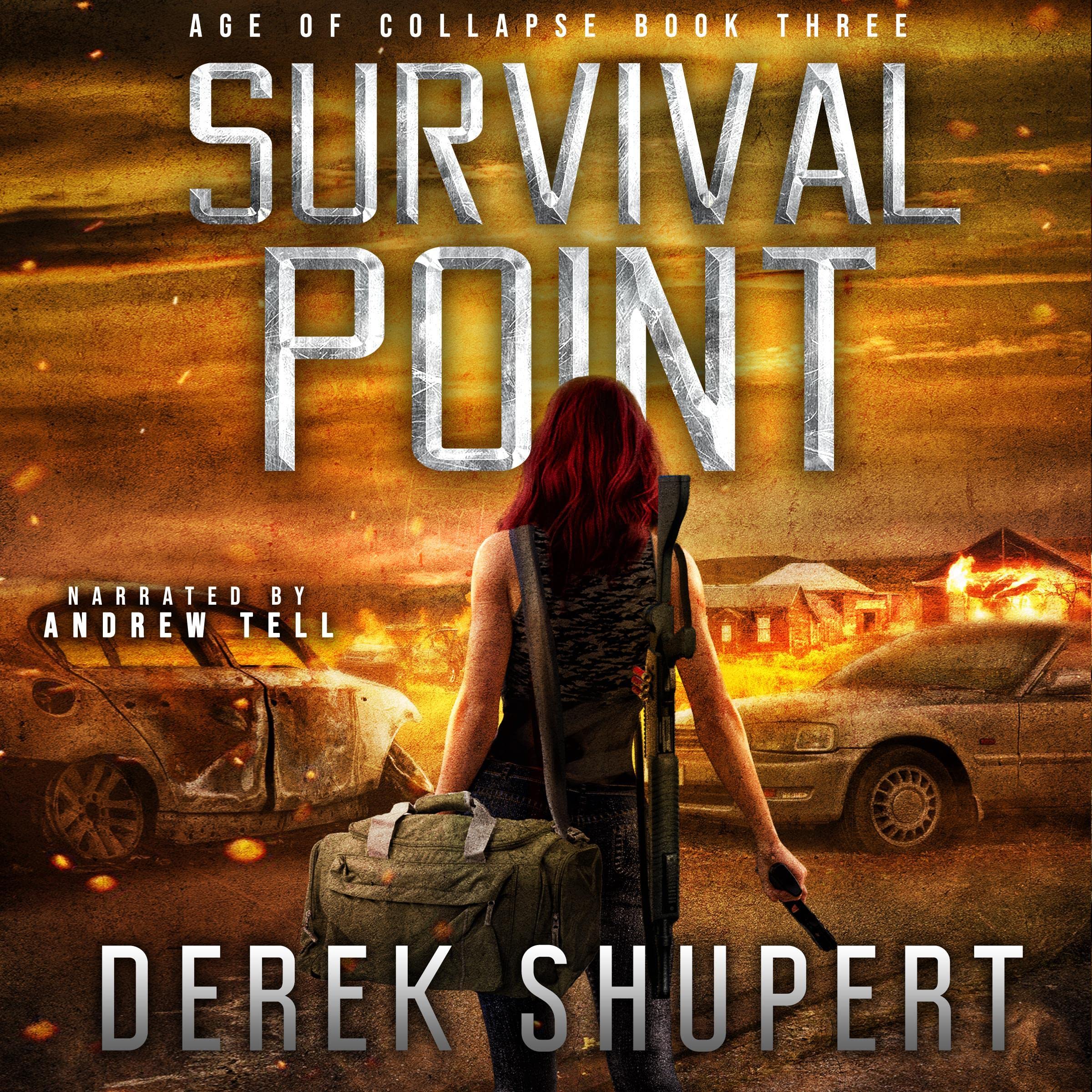 Cover art for Survival Point