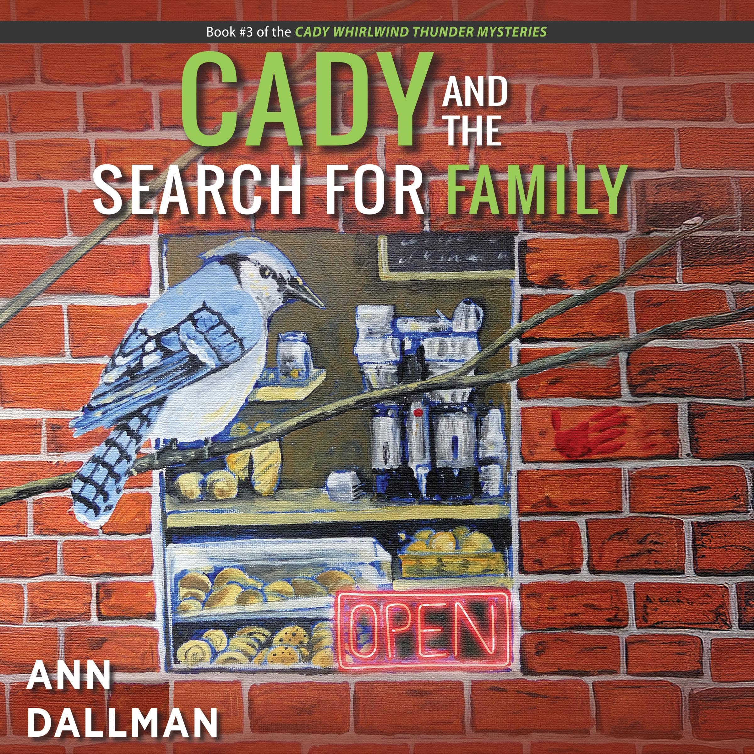 Cover art for Cady and the Search for Family
