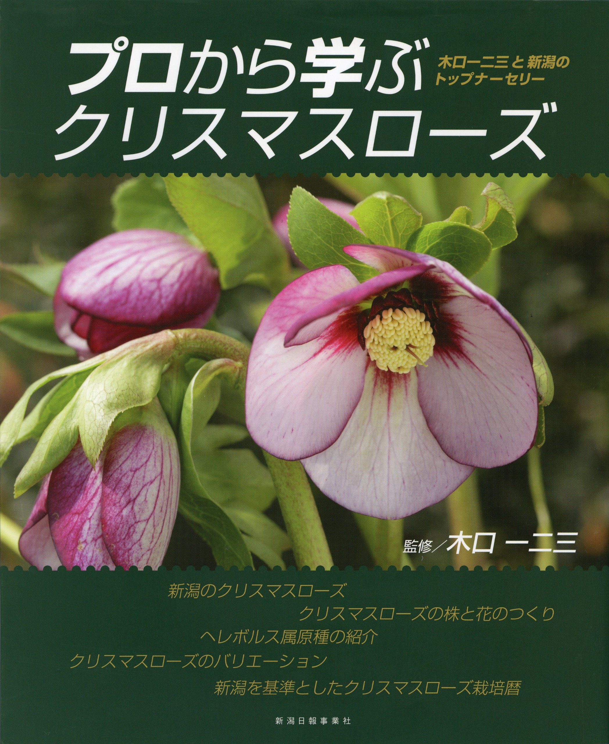 プロから学ぶクリスマスローズ 木口一二三と新潟のトップナーセリー