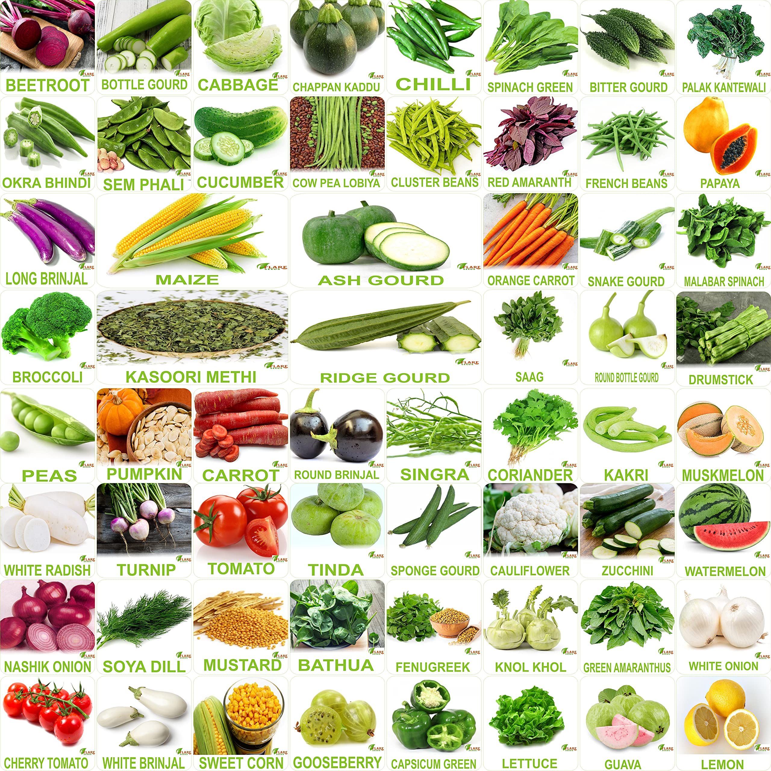 FLARE SEEDS No.1 Organic, Winter, Summer, Home Garden, Seeds Bank, Vegetable 60 Seeds Combo (B09C3ZHGWG) Amazon Price History, Amazon Price Tracker