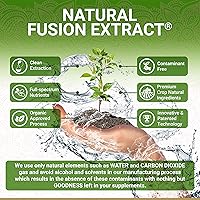 Vista 2 de True Veda Cápsulas en polvo de amla orgánica Amla Powder Vitamina C orgánica Suplemento de amalaki de extracto natural de grosella espinosa india