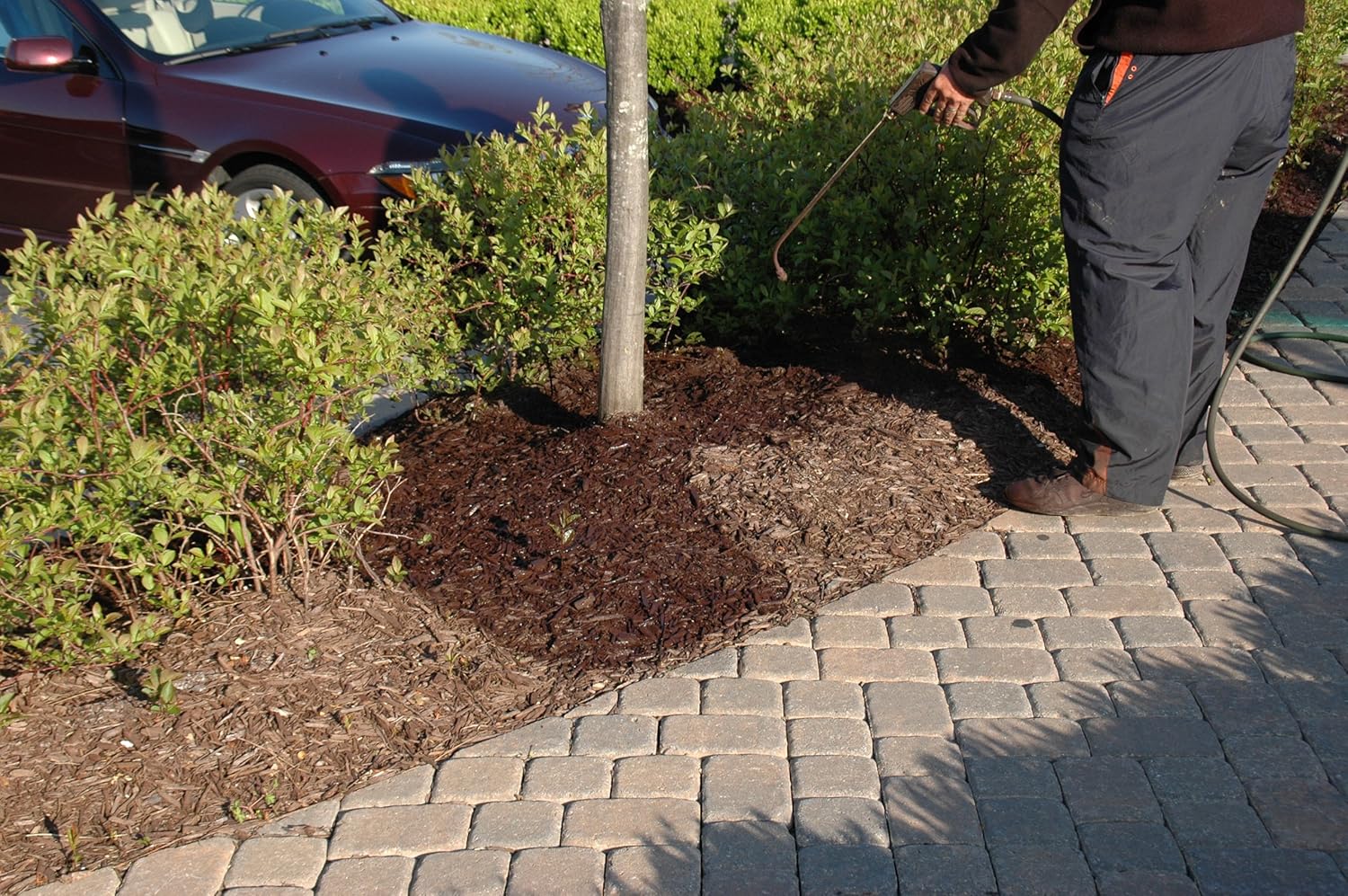 Best Brown Mulches, Tested By Us