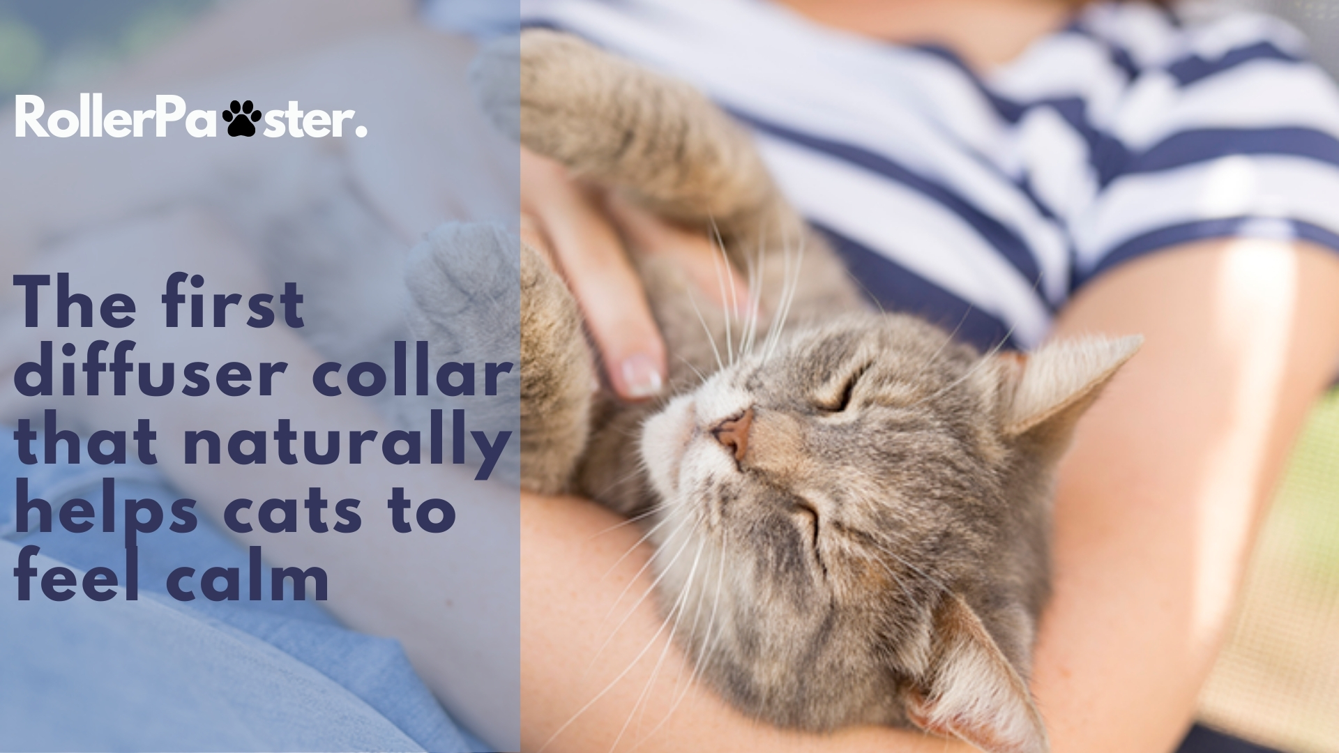 Cat Aggression Relief Calming Collar, Natural Anxiety Relief, Breakaway Vet-Approved Relaxer, Pet-Safe Collar with Essential Oils (Light Blue - Myrrh) - image 8
