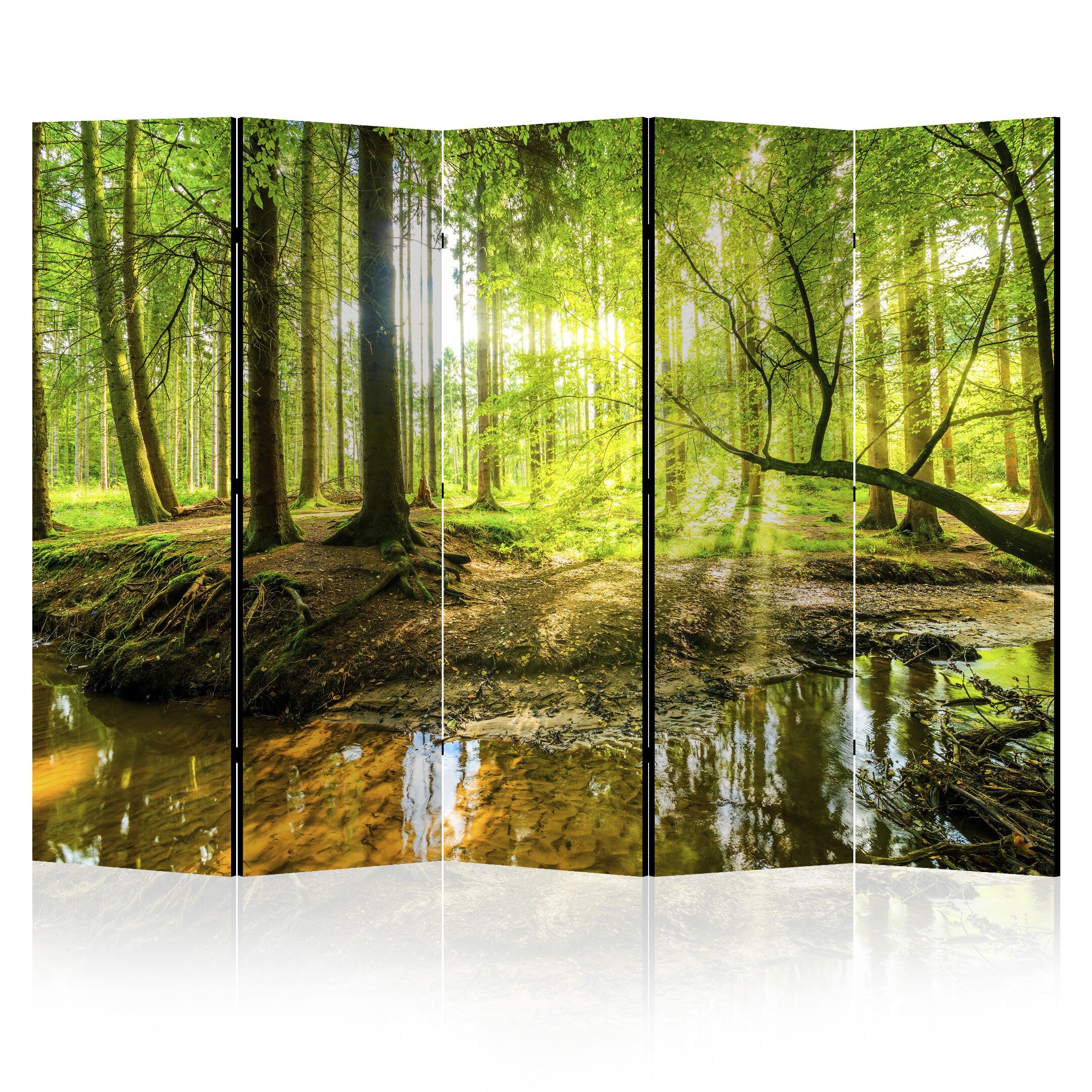 Separe Divisorio Interno Bifacciale - Paravento da Interno 5 Pannelli Divisorio per Ambienti - Divisori per Interni con Motivo Bosco - 225x172 cm | Parte anteriore con motivo, retro neutro, pieghevole, autoportante e decorativo