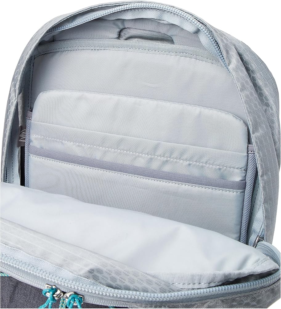 Amazon.com: Osprey Quasar Commuter Backpack, Silver Lining/Tunnel Amazon.com: Osprey Quasar Commuter Backpack, Silver Lining/Tunnel