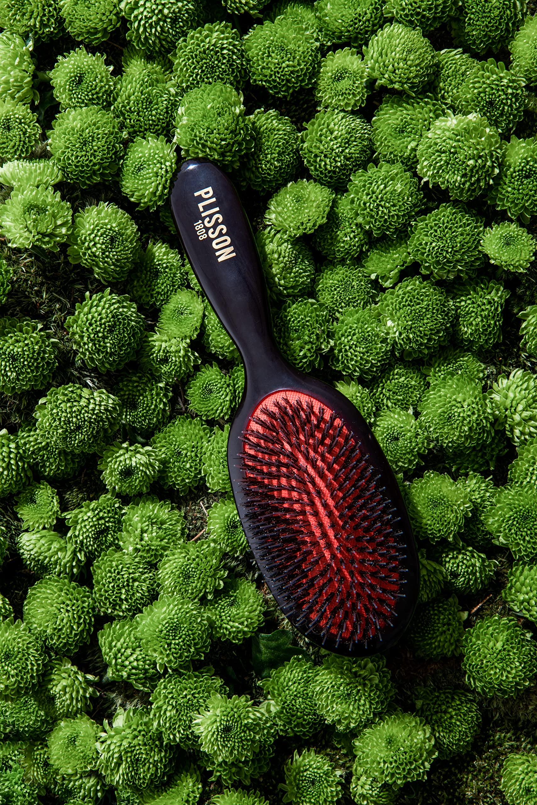 Plisson – Cepillo de pelo neumático para mujeres y hombres, cepillo tradicional, madera natural, pelo de jabalí, picotas de nailon, fabricación francesa (modelo medio)
