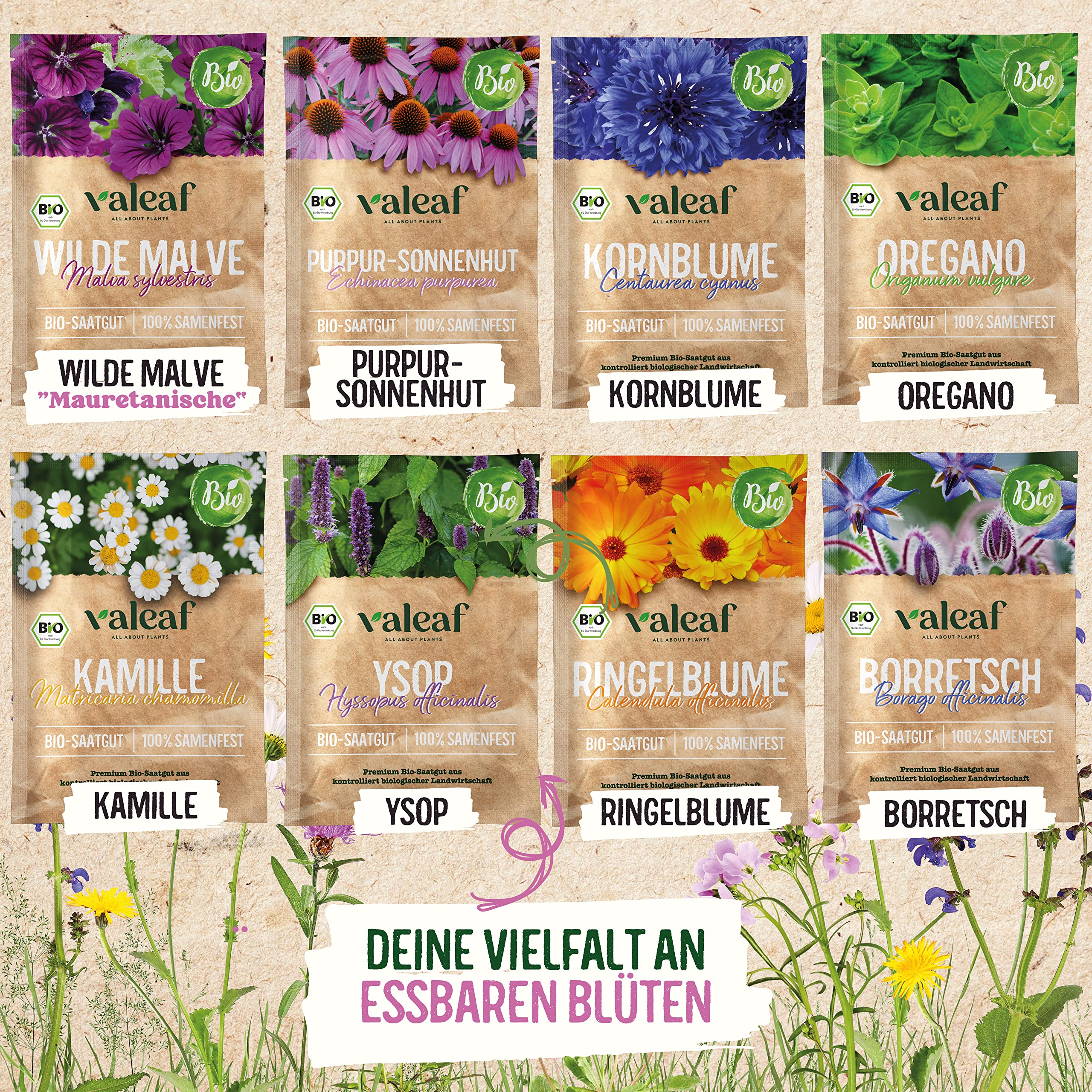 grünkohl saatgut Grünkohl «Kale» Bio Saatgut main image 0