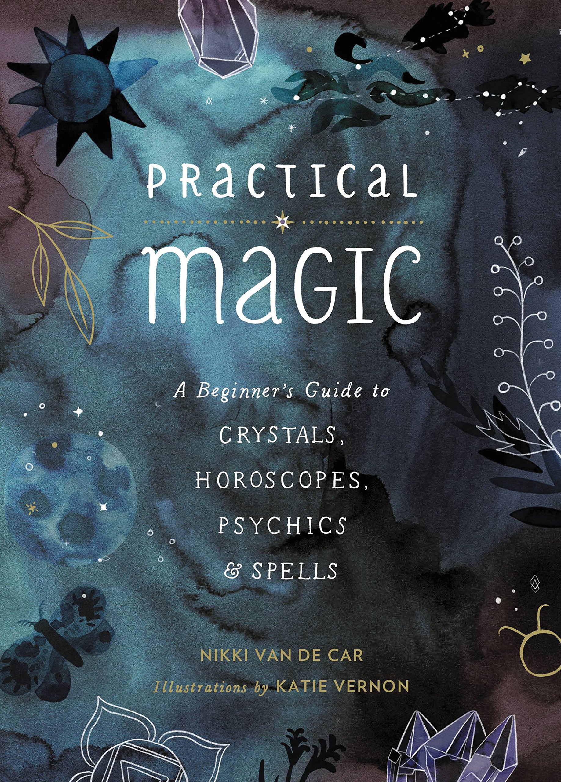 Practical Magic by Nikki Van de Car (Hardback Book)