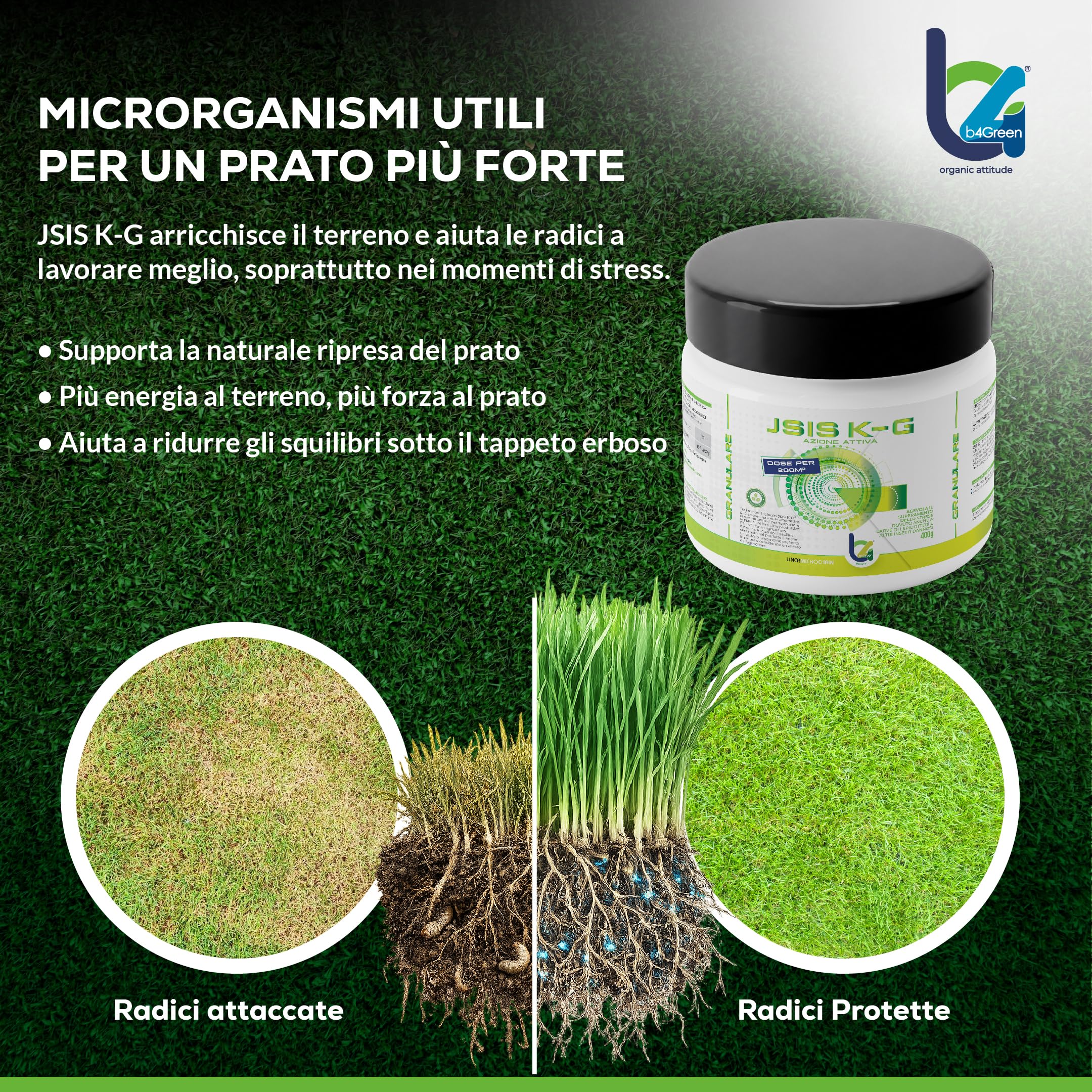 B4Green JSIS K-G Granulare 400g per 200m² – Bacillus Thuringiensis Kurstaki Israelensis Larvicida Biologico per Prato, Larve di Lepidotteri e Bruchi, Ammendante per Agricoltura Biologica