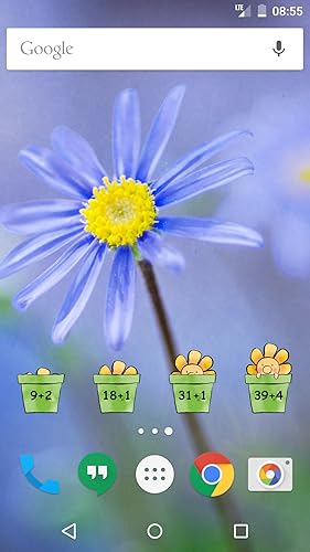 Pregnancy App Expertli (Free)