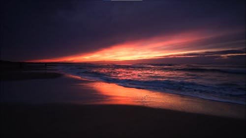 Tropical Beach at Night screensaver 4K Relaxing Waves Sounds for Sleep No Ads
