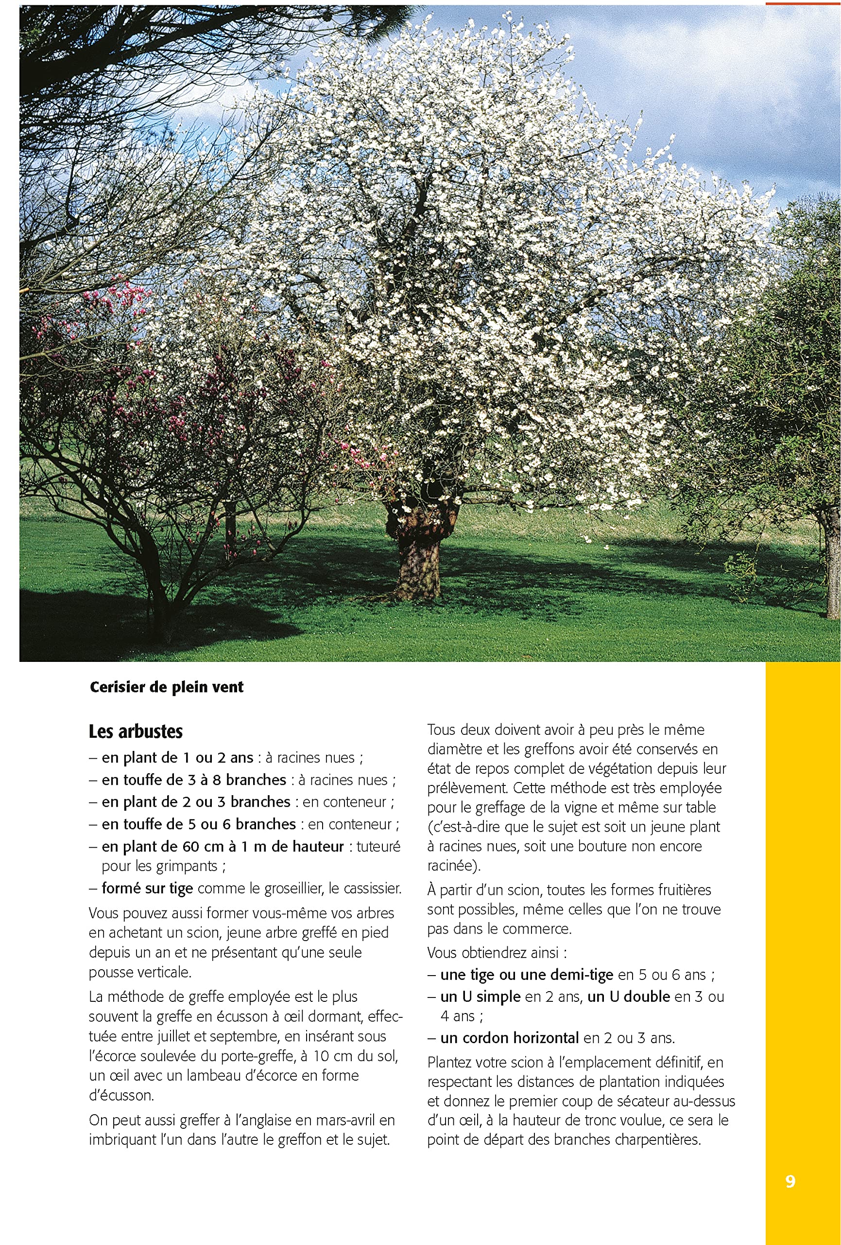 Taillez tous les arbres fruitiers
