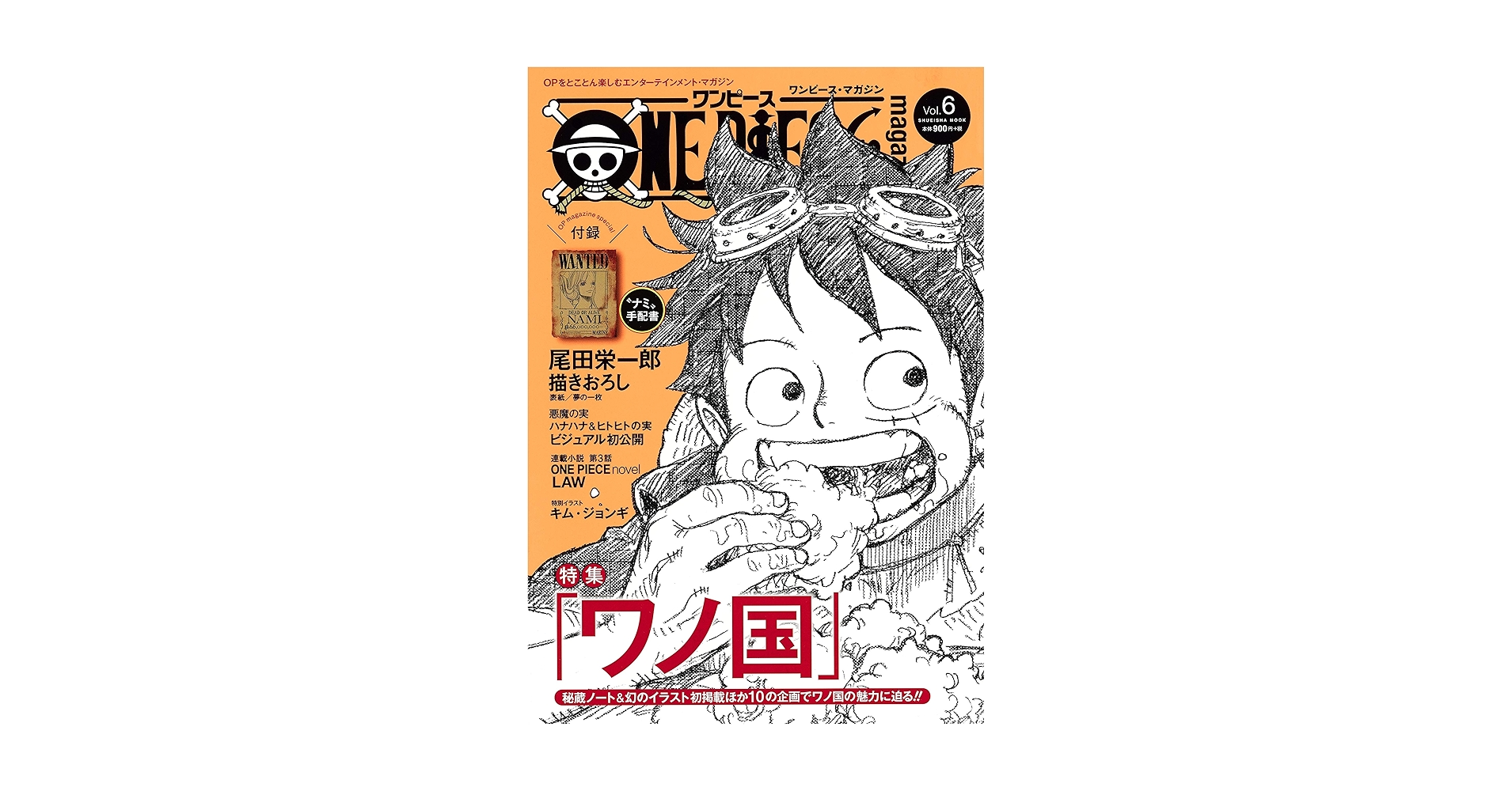 Amazon.com: ONE PIECE magazine Vol.6 [Japanese Edition