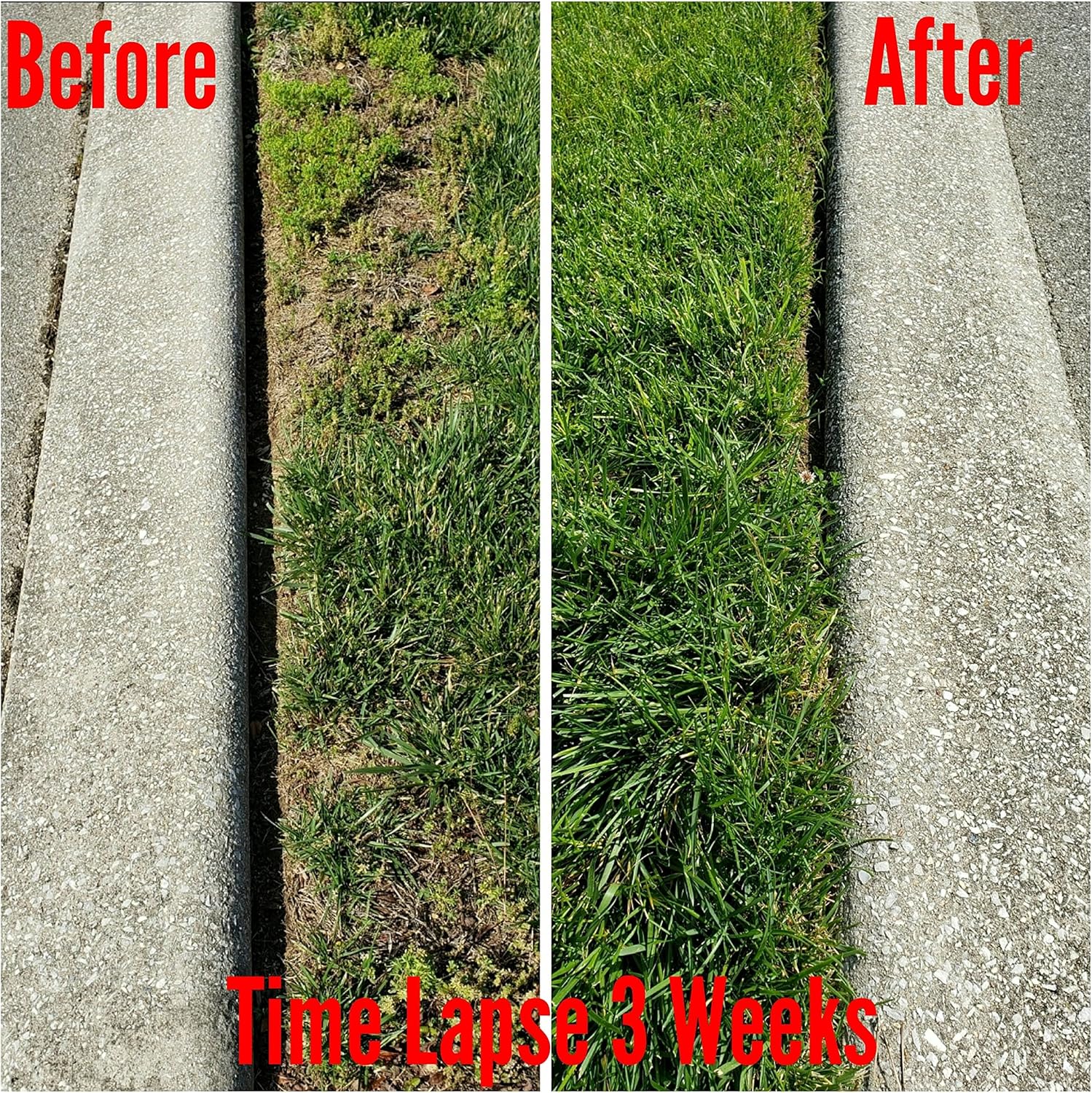 Essential Plus 1-0-1 (32 Ounces)