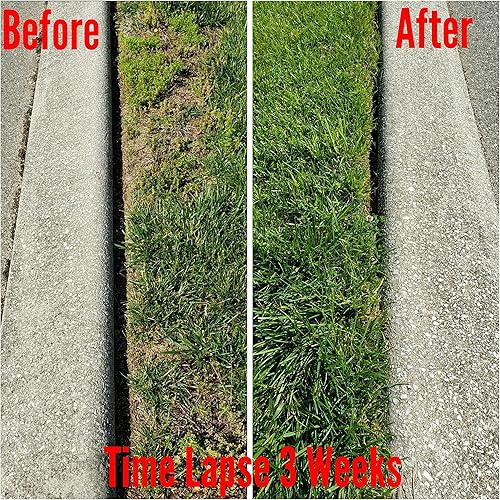 Miniatura 2 de Essential Plus 1-0-1 (32 onzas)