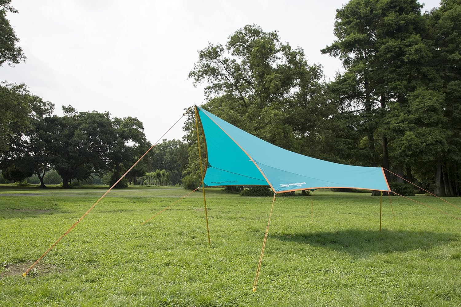 Amazon コールマン Coleman タープ ウィンズライトヘキサタープ M 2 コールマン Coleman タープ Amazon コールマン Coleman タープ ウィンズライトヘキサタープ M 2 コールマン Coleman タープ