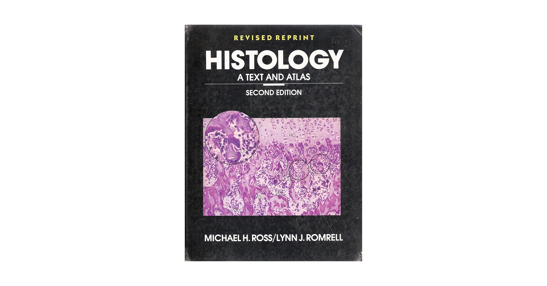 Histology: A Text and Atlas: Michael H. Ross, Edward J. Reith