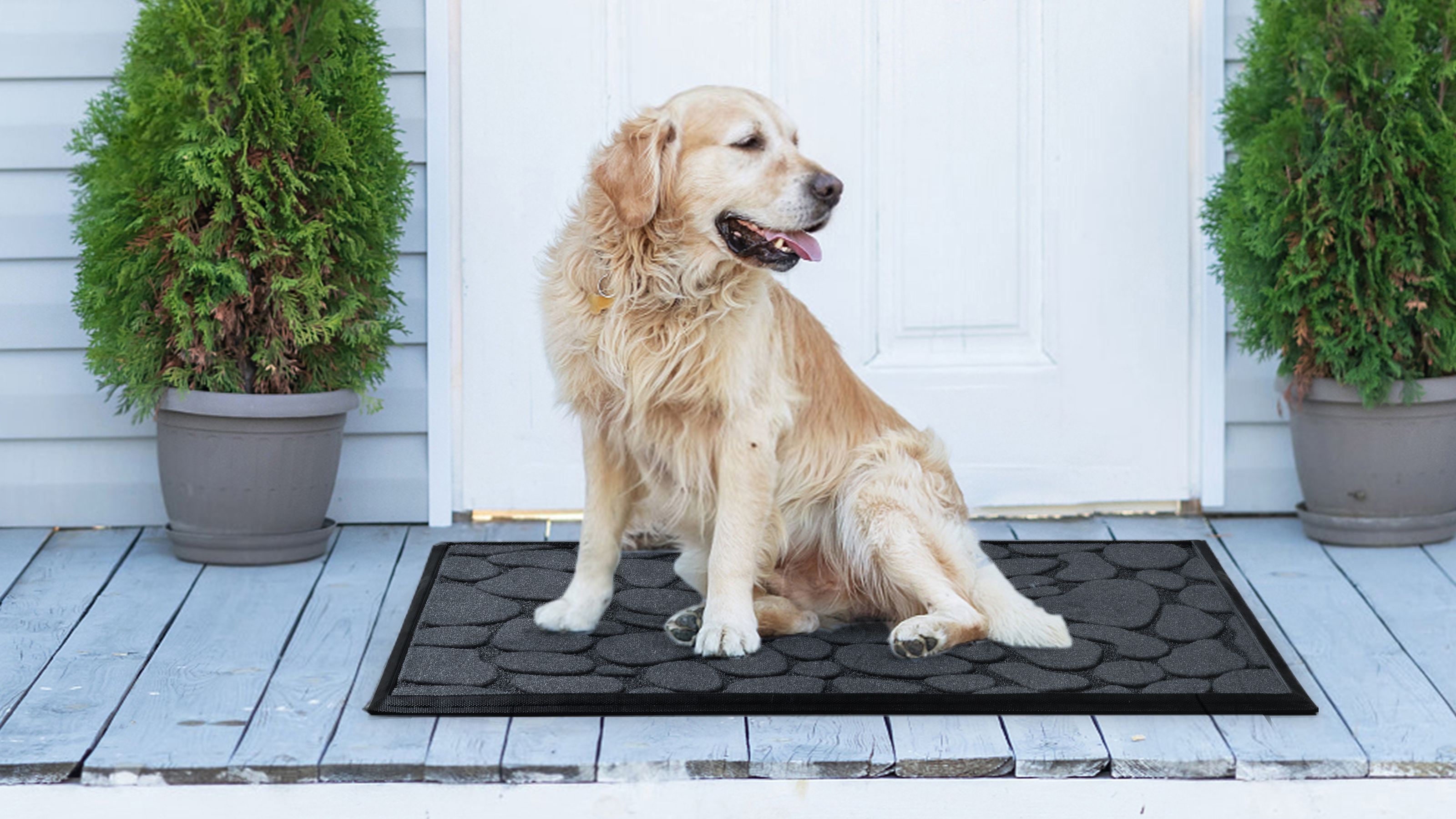 アーママ Amazon.com: AMOAMI 24