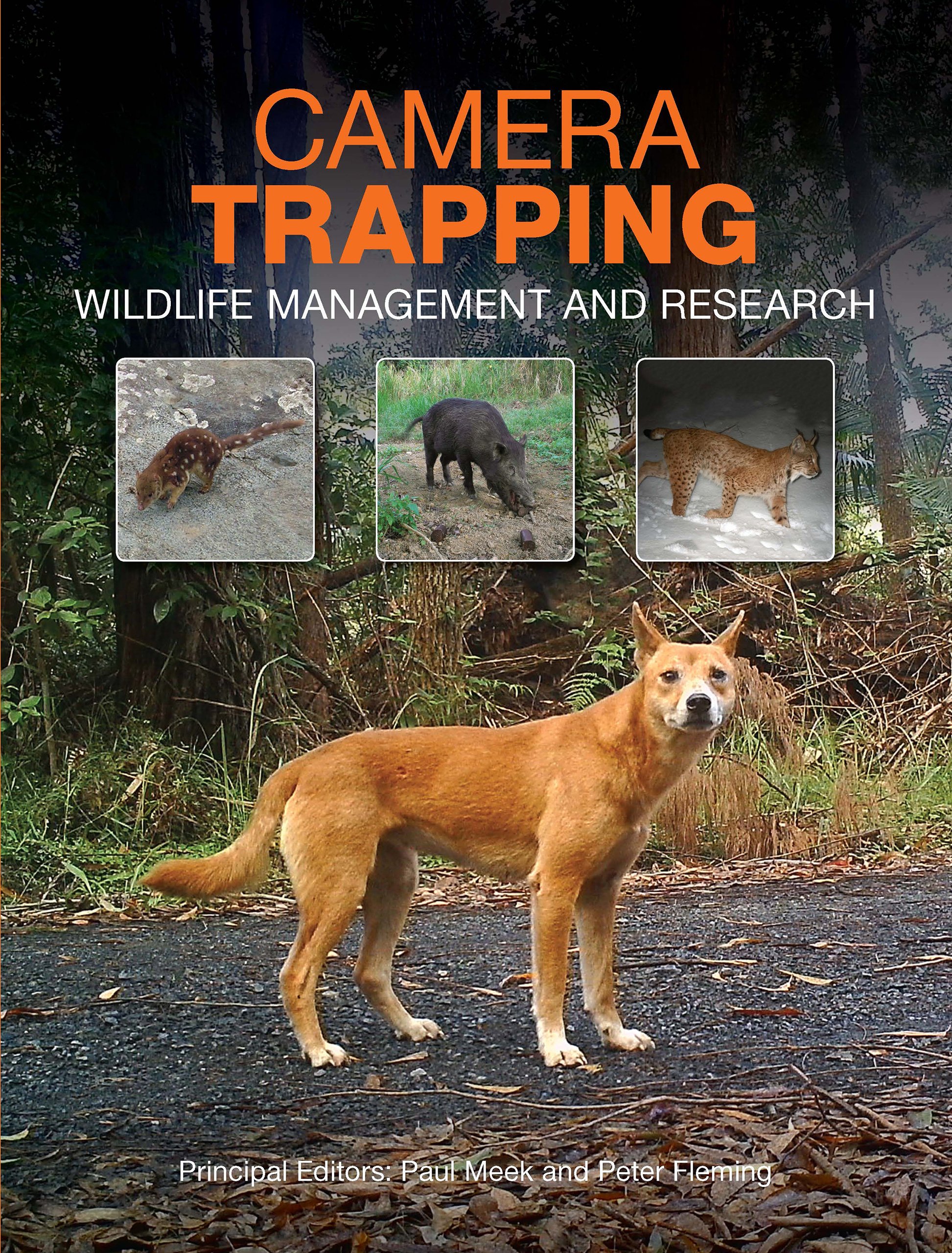 Camera Trapping: Wildlife Management and Research