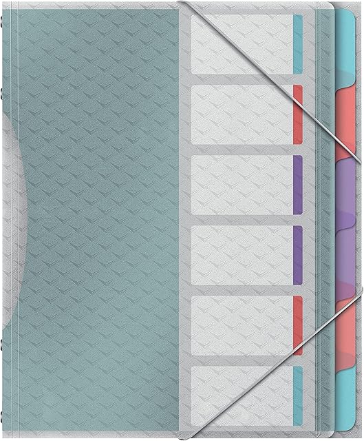 Esselte, Teczka Segregująca A4 z 6 Przekładkami Esselte Colour'Breeze, do Domu/Biura, Bezkwasowe Tworzywo, Folder na Luźne Notatki, Wytłoczony Wzór, Wielokolorowa, 626255