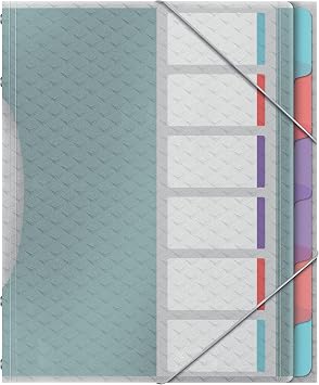 Esselte ColourIce A4 Polypropylene File 6 Facher Multicoloured